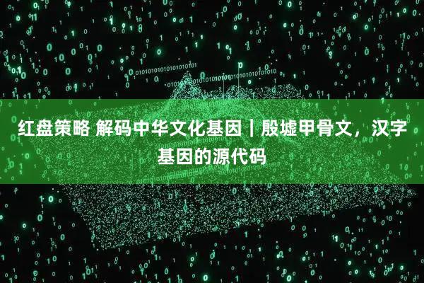 红盘策略 解码中华文化基因｜殷墟甲骨文，汉字基因的源代码