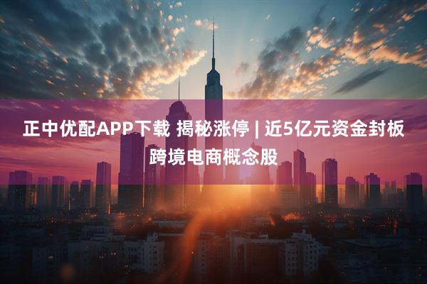 正中优配APP下载 揭秘涨停 | 近5亿元资金封板跨境电商概念股